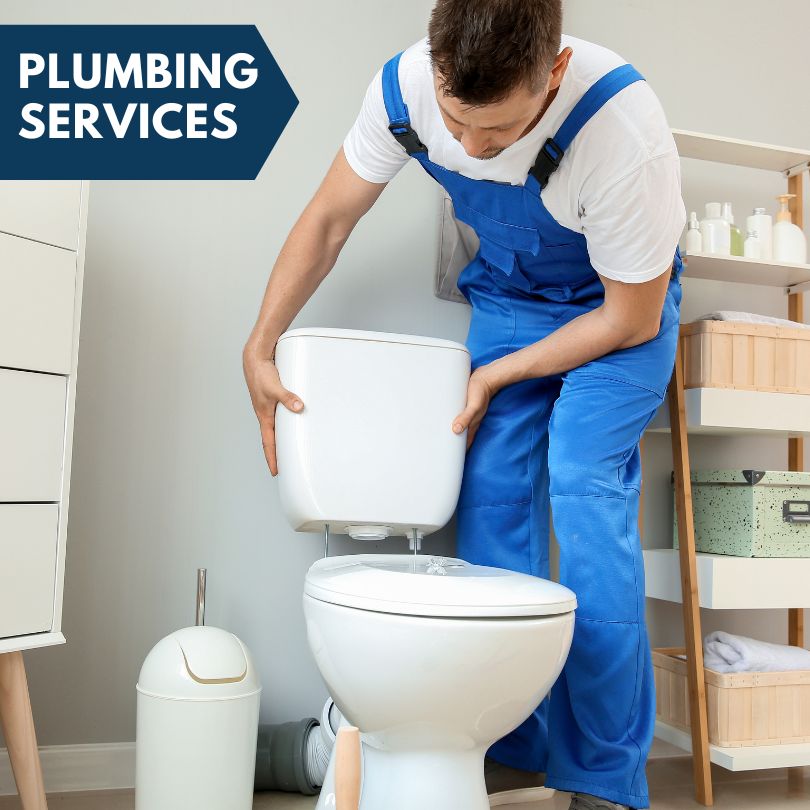 Plumbing Company in Dolores, CO